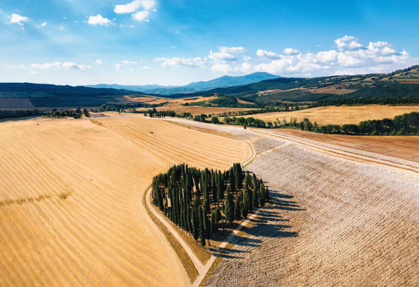 Heart shape forest in Tuscany, Italy Heart shape forest in Tuscany, Italy. Aerial view. Italy and Tuscany love concept. Computer graphic composite image of two photos. crete senesi stock pictures, royalty-free photos & images