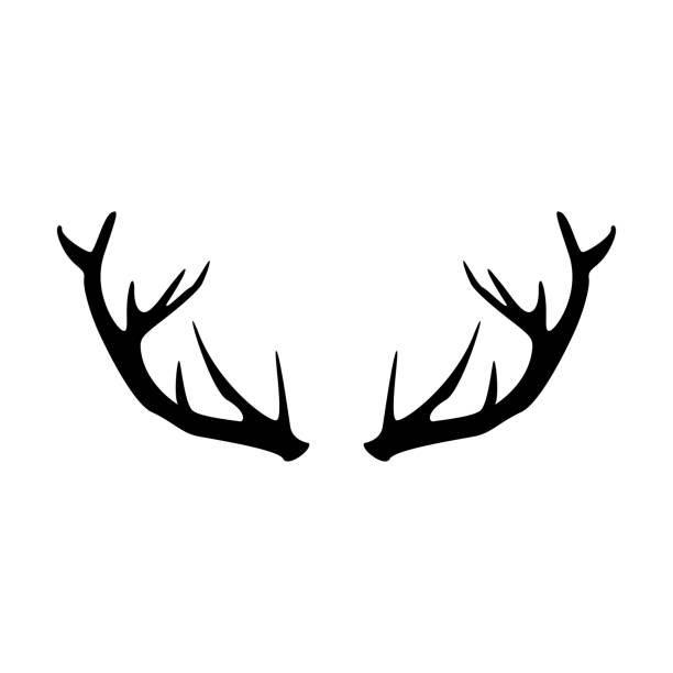사슴 뿔 벡터 아이콘. 흰색 배경에 고립 된 동물 뿔 실루엣 로고. 수컷 짐승 은 사슴을 cervid 사슴. 사냥 트로피. - hunting horn stock illustrations