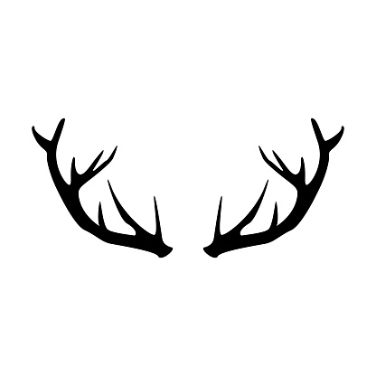 deer antler vector icon. isolated animal horns silhouette logo white background. male beast cervid stag. hunt trophy.