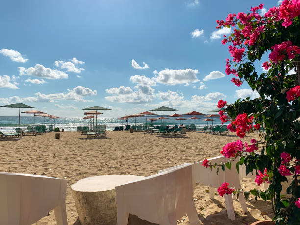 istock Flowers and white chairs on morning sandy beach 1273459027