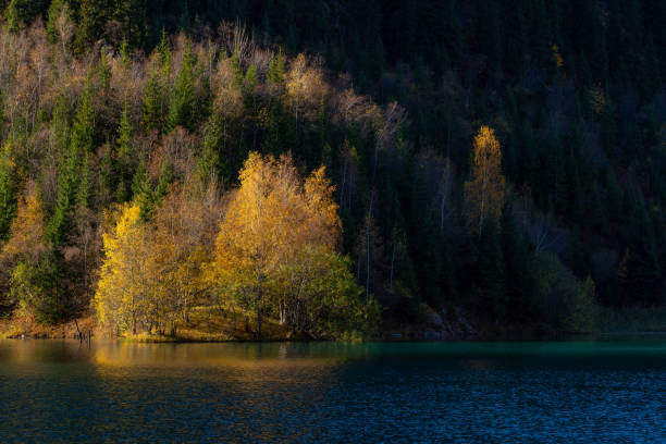 istock Autumn forest on a mountainside by the lake 1273459900