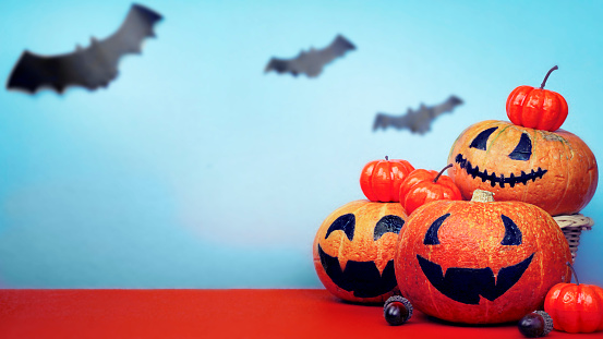 Halloween pumpkins, acorns and paper bats on blue orange background