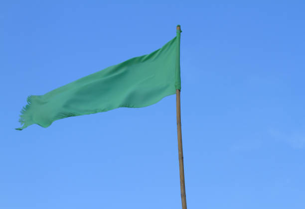 istock Green flag on the beach. under blue sky Background 1273466558