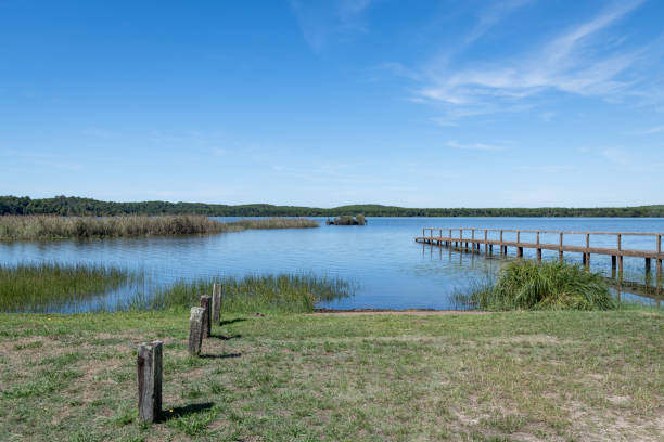 aureilhan pond, between mimizan and biscarrosse in the landes - mimizan imagens e fotografias de stock