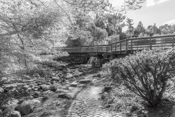 A landscape with a waterfall at Edwards Garden.