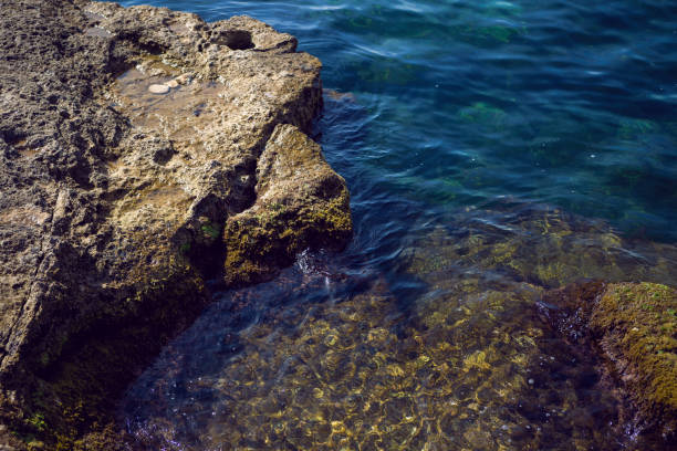 istock rock dotted with holes water on the rock 1273480297