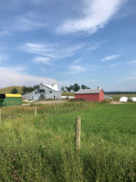 istock Farm buildings 1273484212