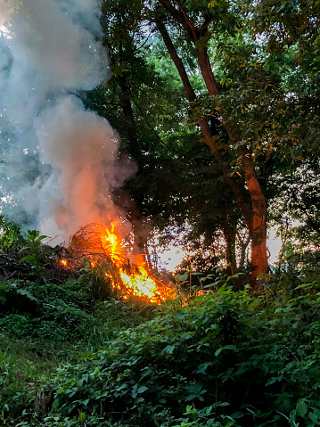 Fire is beginning to destroy a lush wooded area. There is copy space towards the bottom of the image