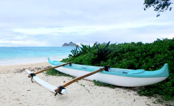 hawaiian outrigger - canoa con balancín fotografías e imágenes de stock