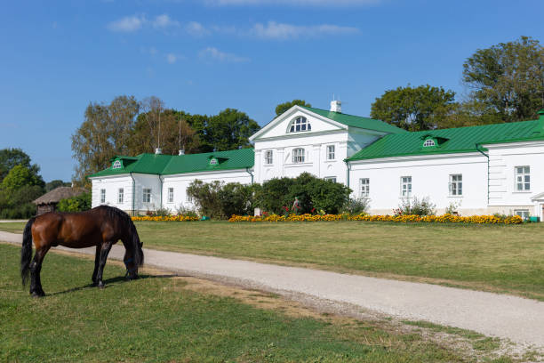 Volkonsky House, Yasnaya Polyana Estate, Tula Oblast, Russia. September 01, 2020. Volkonsky House, Yasnaya Polyana Estate, Tula Oblast, Russia. September 01, 2020. Estate of a great russian writer Lev Tolstoy. A grazing sorrel horse in front of a white ancient stone building with a green roof named Volkonsky House as initially it was estate of Tolstoy's grandfather - prince Volkonsky. leo tolstoy stock pictures, royalty-free photos & images