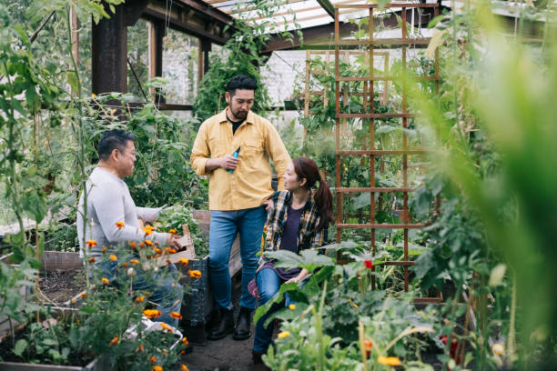 istock Couple in a community garden 1273488853