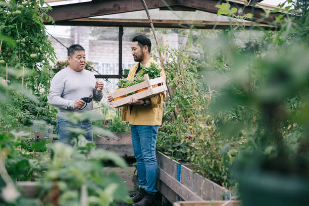 istock Father and Son in an Urban Garden 1273489497