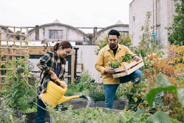 istock Couple in a community garden 1273489530