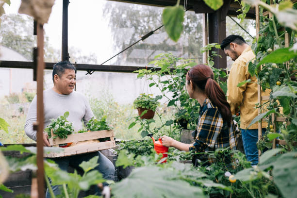 istock Community Garden Lifestyle 1273489568