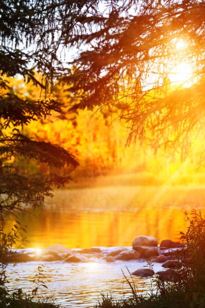 Mississippi River headwaters in Itasca State Park, Minnesota