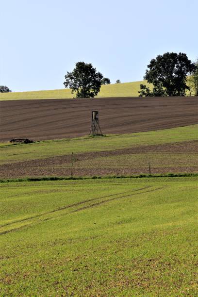 istock road in the countryside 1273493287