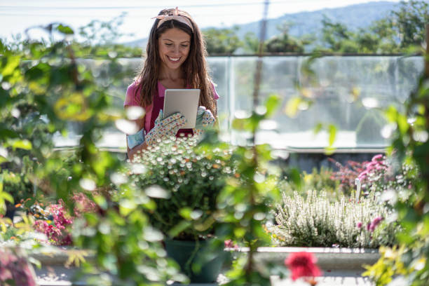 istock Gardener working amongst the flowers 1273493439