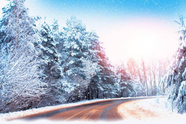 istock snow covered trees. outdoor 1273494381