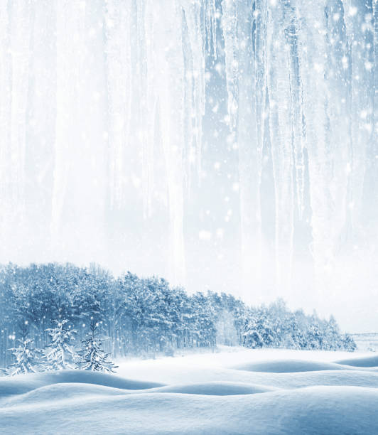 istock snow covered trees. outdoor 1273494428