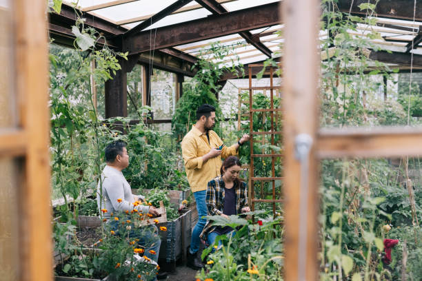istock Couple in a community garden 1273494535