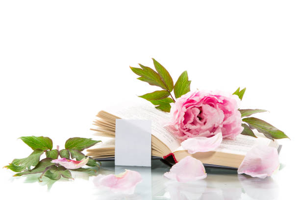 istock peony pink beautiful flower, book, empty card 1273494724