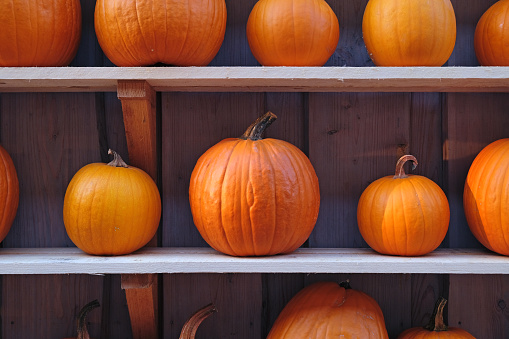 Autumn Pumpkins