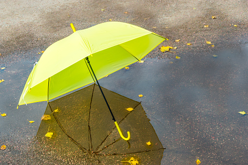 Bright yellow umbrella in a puddle. Autumn concept