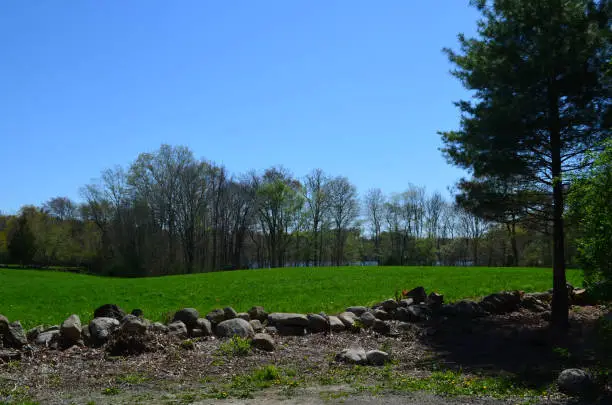 Crumbling stone wall lining a field in Norwell Massachusetts.