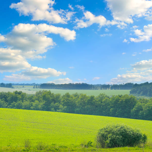 istock Beautiful landscape of hilly fields with green grass. 1273505862