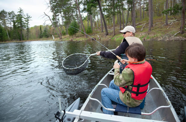 istock A dad nets a nice walleye caught by his son on a lake in northern Minnesota 1273508672