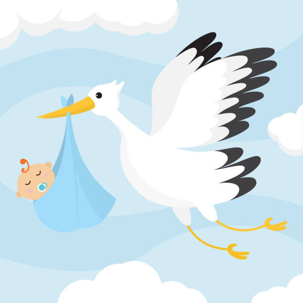 Bird Carrying Baby Illustrations, Royalty-Free Vector Graphics & Clip Art -  iStock