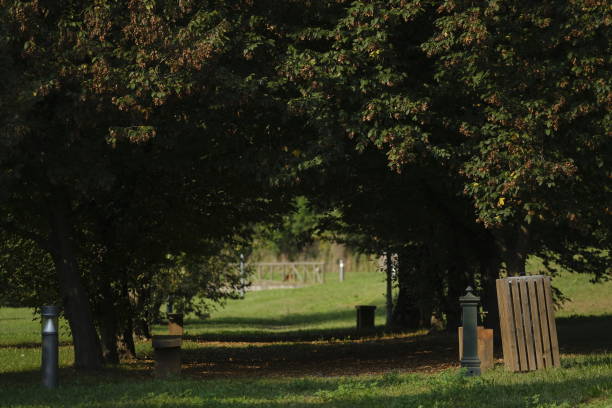 istock Country road in a park 1273509241