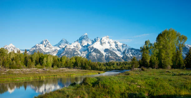 istock Grand Teton mountains behind river and trees in morning light 1273509781