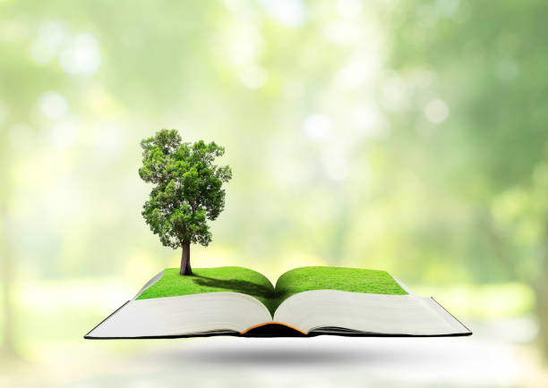 istock Green tree growth thru from opened book with blurry image of public park in background. 1273514070