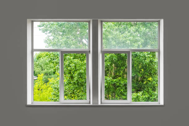 closed white window overlooking green garden. green trees outside the window - on the inside looking out imagens e fotografias de stock