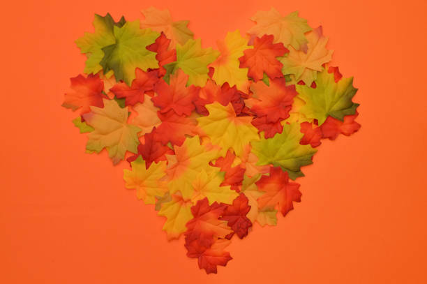 Autumn leaves in heart shape on orange background