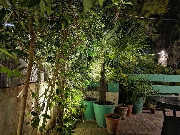 istock Night photography collection 1273515667