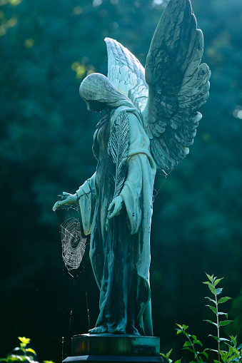 an angel with wings in a cemetery in front of luminous autumn leaves in the background raises one arm to the sky