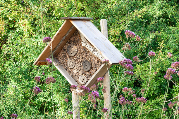 istock Insect hotel in a city garden 1273516675