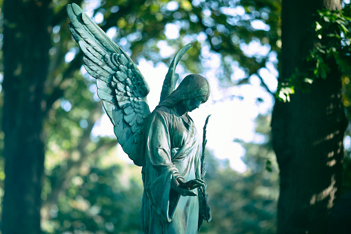 an antique angel figure with a palm branch stands on a grave of a cemetery in front of an autumnal colorful leafy forest in a blurred background