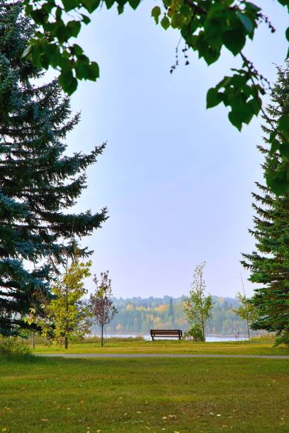 istock Fall Foliage Surrounding A Park Bench Lookout 1273517087