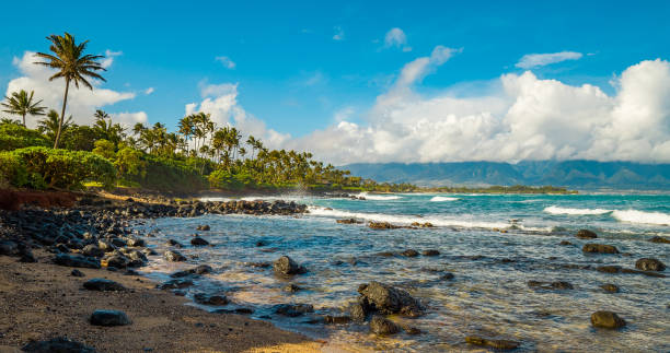 istock Marvelous shore. Large boulder among the waves in the sea. Hawaii 1273517837