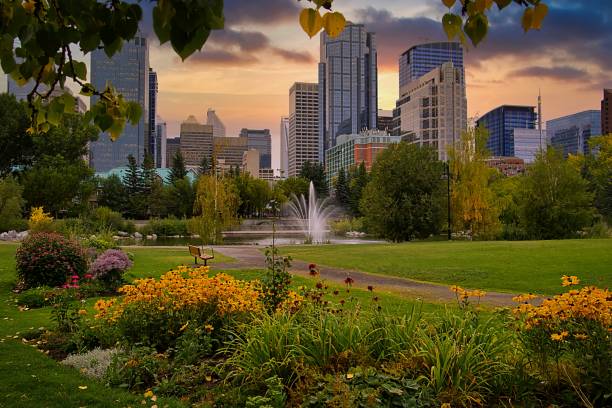 istock Warm Sunrise Over A Fall Park In Downtown Calgary 1273518095
