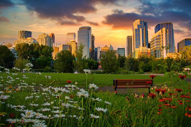 istock Vivid Sunrise Sky Over A Downtown Calgary Park 1273518208