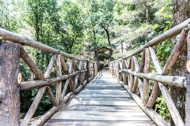 istock Beautiful green forest in Mazamitla 1273528471