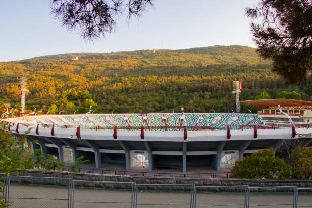 estadio lokomotivi en tiflis, tribuna deportiva vacía - georgia football fotografías e imágenes de stock