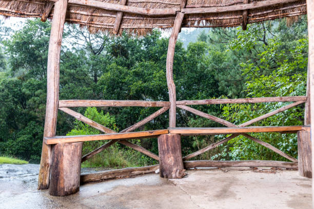 istock Beautiful green forest in Mazamitla 1273528493