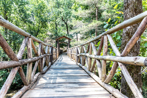 istock Beautiful green forest in Mazamitla 1273528523