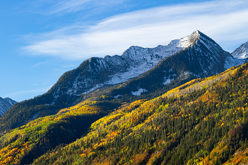 Rising to 14,150 feet in elevation, a light snow covers Mount Sneffels with autumn yellow aspen and willows in the Uncompahgre National Forest, Ridgway, Colorado.