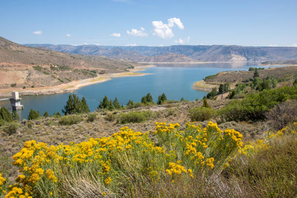 istock Curecanti National Recreation Area 1273536520